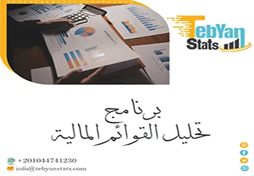برنامج تحليل القوائم المالية | كيف تستخدمه في تحليل البيانات؟