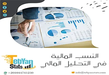 النسب المالية في التحليل المالي | أهم الأنواع والقوانين