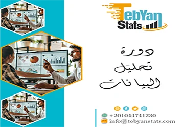 دورة تحليل البيانات | كيف تبدأ من الصفر مع تبيان؟