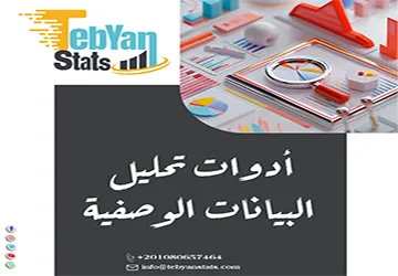 أدوات تحليل البيانات الوصفية | أي أداة تناسب بياناتك؟